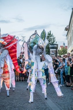 Uluslararası tiyatro festivalinde Almanya 'dan bukalemunlar dans ediyor. 