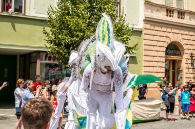 Uluslararası tiyatro festivalinde Almanya 'dan bukalemunlar dans ediyor. 