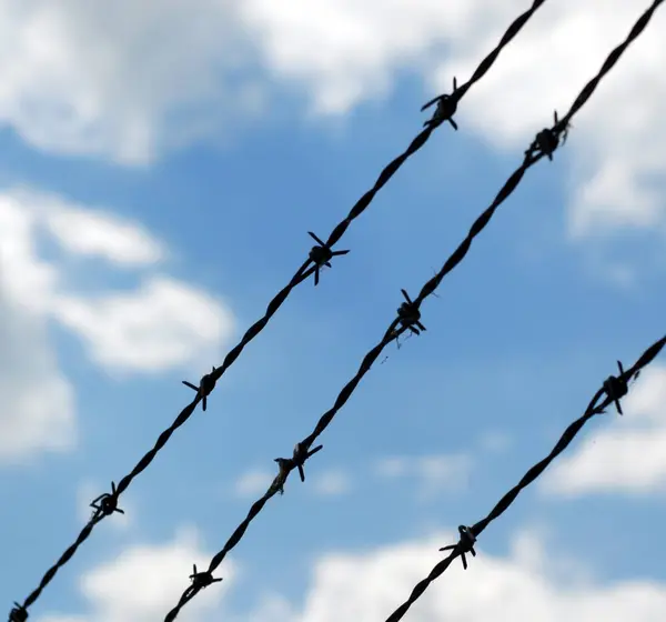 Barbed Wires Sky — Stock Photo, Image