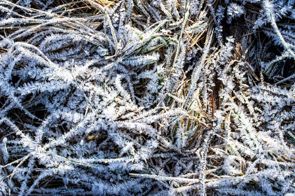 冬の氷の質感 デザインのための抽象的な背景 クローズアップ撮影 — ストック写真