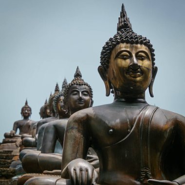 Gangaramaya Tapınağı 'ndaki Bhudda heykellerinin çizgileri