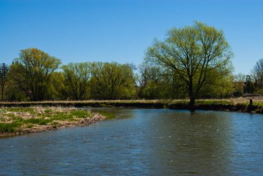 Nehir gökyüzündeki ağaçlarla kıvrılıyor.