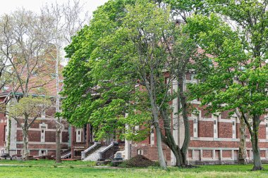 Ellis Adası arkaplan görüntüsü 