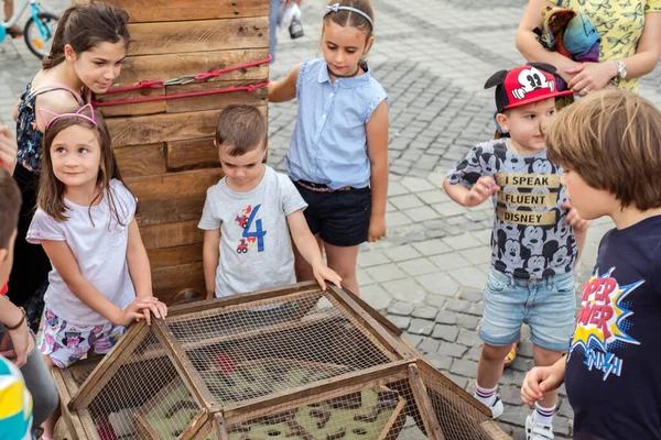Niños Playng Extraño Viaje Tonet Juegos —  Fotos de Stock