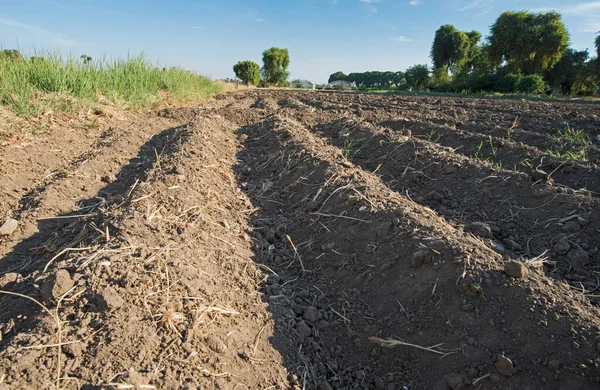 Closeup Furrows Ploughed Arable Field — Stock Photo, Image