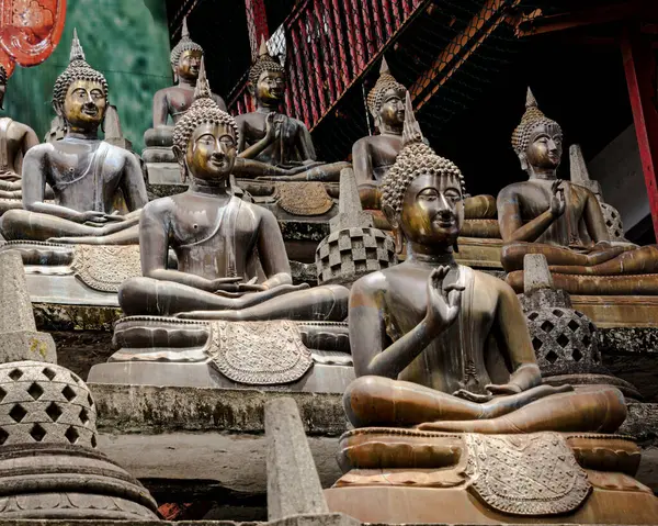 Lignes Statues Bhudda Temple Gangaramaya — Photo