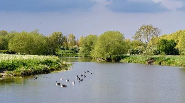 River Avon Landscape Scenic View — Stock Photo, Image