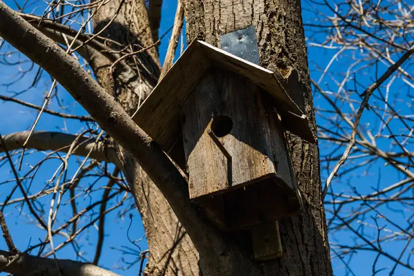 Ahşap Kuş Evi Ağaç Üzerinde — Stok fotoğraf