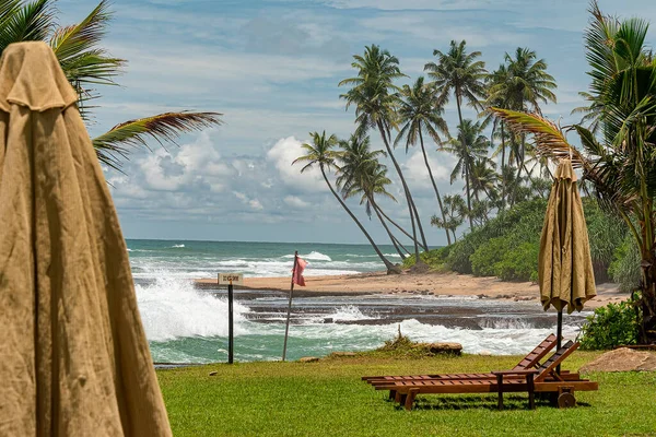 Wooden Sun Lounges Parasols Set Out Awaiting Tourists — Stock Photo, Image