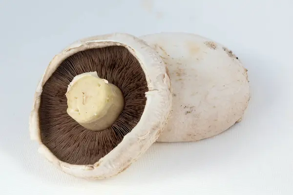 Tiro Close Grandes Cogumelos — Fotografia de Stock