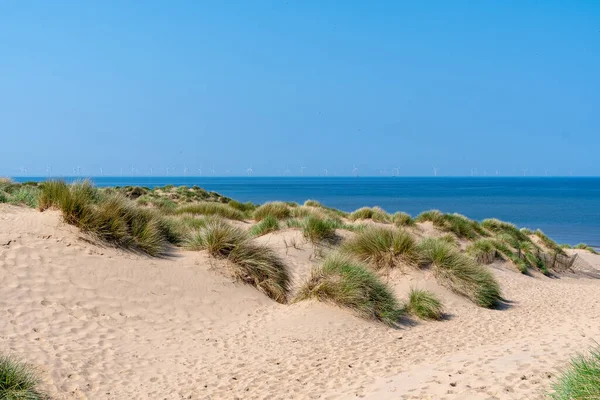 Песчаные Дюны Пейзаж Морем Заднем Плане — стоковое фото
