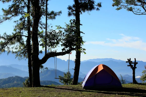 Tent Camping Tree — ストック写真