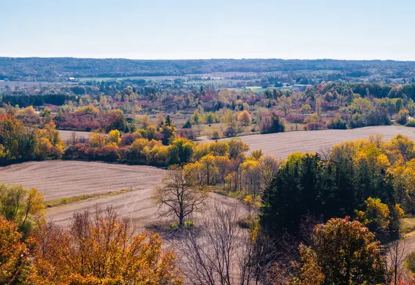 秋の田園風景を眺める — ストック写真