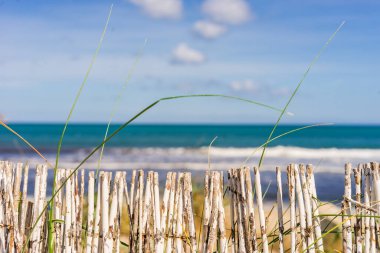 Deniz kıyısında yaz