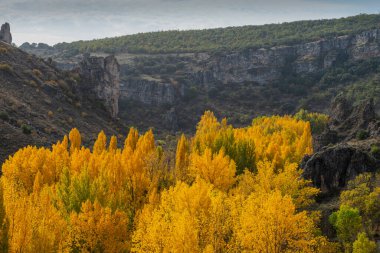 Sonbahar ağaçlı Pelegrina Kanyonu