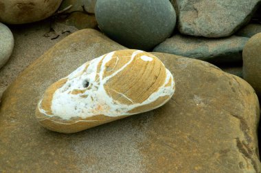 güzel parlak arka plan  