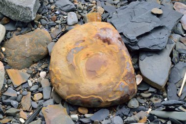 Deniz kıyısında çakıl taşları, gündüz manzarası 