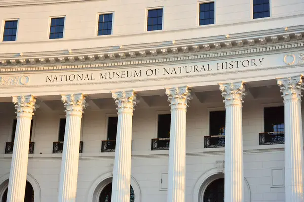 Nationales Naturkundemuseum Auf Den Philippinen — Stockfoto