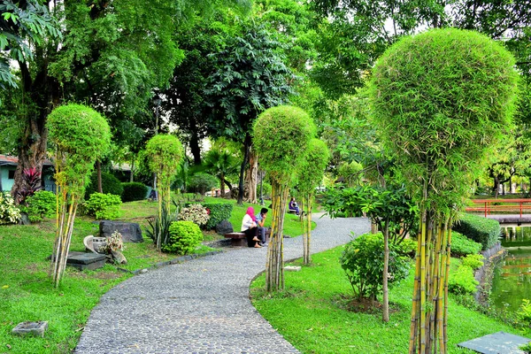 Японський Сад Парку Різал Маніла Філіппіни — стокове фото