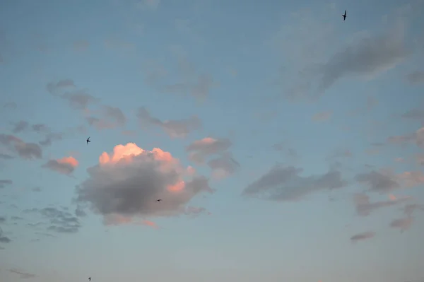 曇り空の夕日 — ストック写真