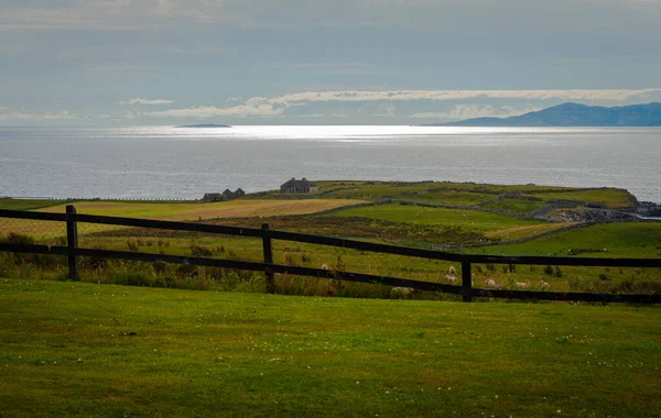 Вівчарська Ферма Дивиться Над Ірландським Морем — стокове фото