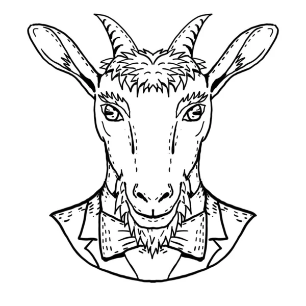 Goat Vestindo Smoking Gravata Retrato Desenho Retrô Dos Desenhos Animados — Fotografia de Stock