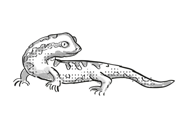 Tautuku Gecko Nowa Zelandia Wildlife Cartoon Retro Rysunek — Zdjęcie stockowe