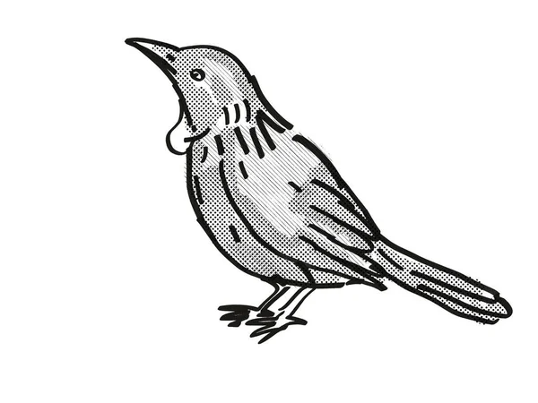Tui Nuova Zelanda Uccello Cartone Animato Disegno Retrò — Foto Stock