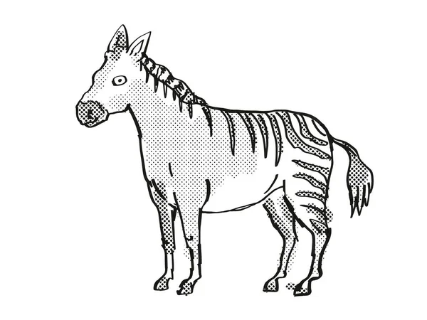 Hagerman Horse Extinct Nordamerikanska Djurliv Tecknad Ritning — Stockfoto