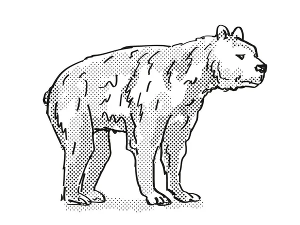 Krótkodzioby Wymierający Niedźwiedź North American Wildlife Cartoon Drawing — Zdjęcie stockowe