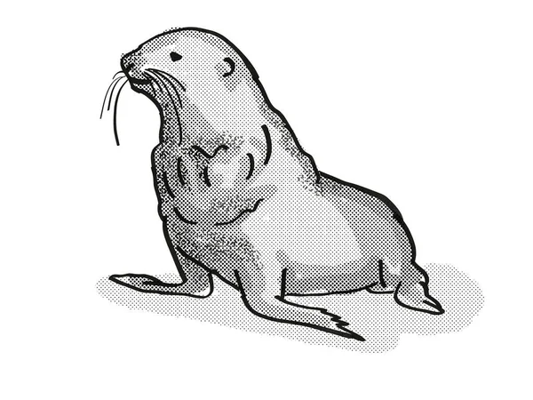 Fur Seal Nový Zéland Divoká Příroda Karikatura Retro Kresba — Stock fotografie