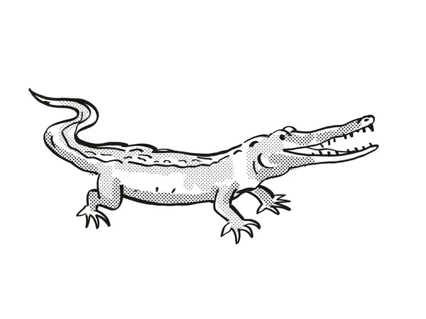 West African Slender Snouted Crocodile Endangered Wildlife Cartoon Drawing — Stock Photo, Image