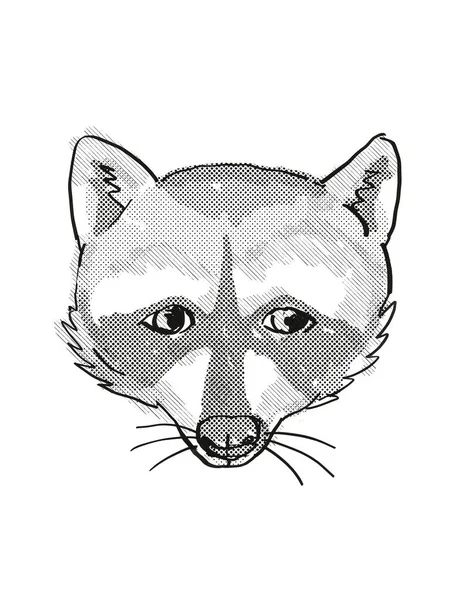ピグミー ラクーン絶滅危惧野生動物漫画レトロドローイング — ストック写真