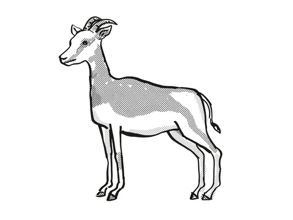 Mhorr Gazelle絶滅危惧野生動物漫画の描画 — ストック写真