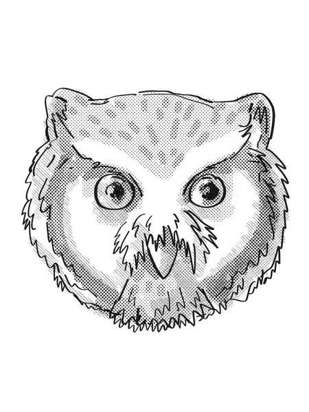 Northern White Faced Owl Head Cartoon Retro Drawing — Stock Photo, Image