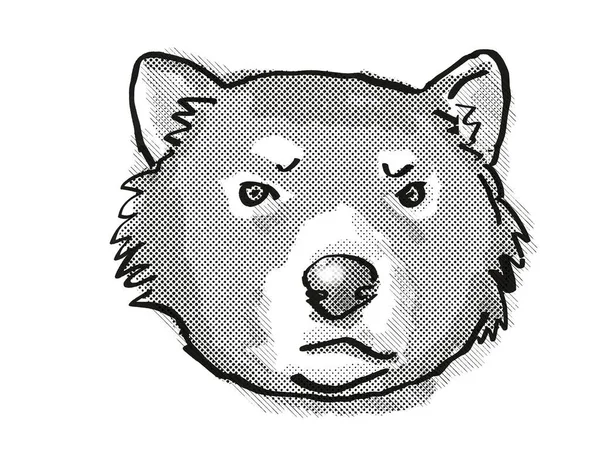 Tasmánský Ďábel Ohrožený Divoká Zvěř Karikatura Retro Kresba — Stock fotografie