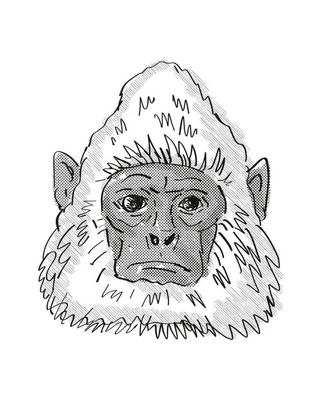 Sri Lankan Gray Langur Monkey Cartoon Retro Zeichnung — Stockfoto