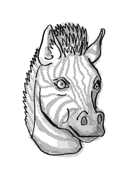 Zebra Hoofd Cartoon Retro Tekenen — Stockfoto