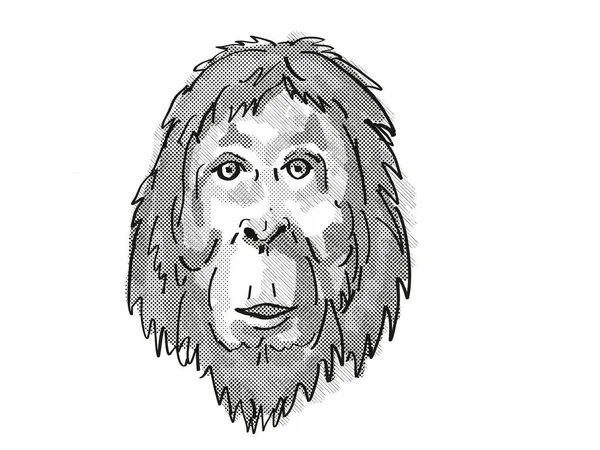 Orangutan Tehlike Altındaki Vahşi Yaşam Çizgi Filmi Retro Çizim — Stok fotoğraf