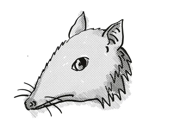 Long Nosed Bandicoot Endangered Wildlife Cartoon Retro Drawing — Stock Photo, Image