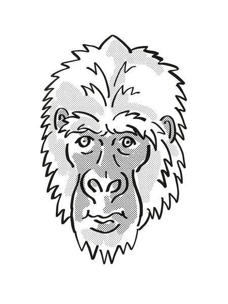 Östlicher Gorilla Oder Gorilla Berengei Gefährdete Tierwelt Cartoon Mono Line — Stockfoto