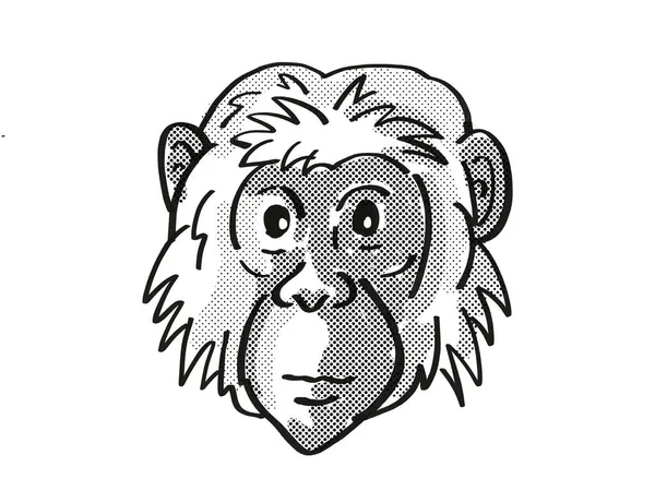 Bonobo Pan Paniscus Endangered Wildlife Cartoon Mono Line Drawing — 스톡 사진