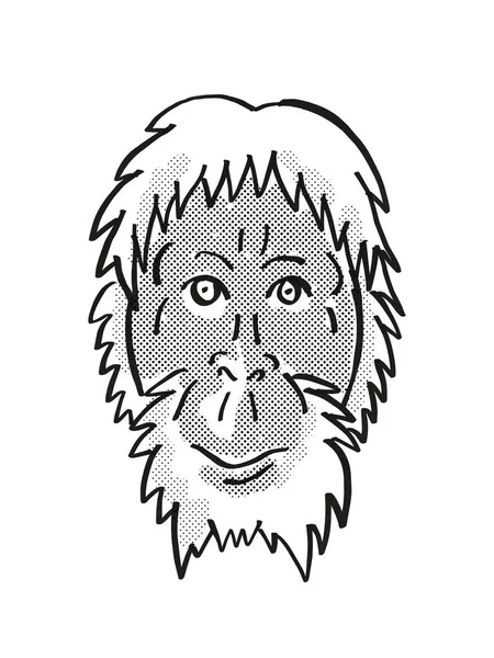 Sumatra Orangután Pongo Abelii Vida Silvestre Peligro Dibujo Línea Mono — Foto de Stock