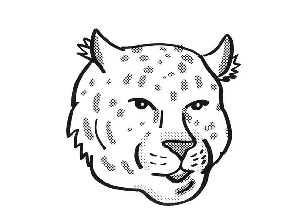 Amur Leopard Hotade Djurliv Tecknad Mono Linje Ritning — Stockfoto
