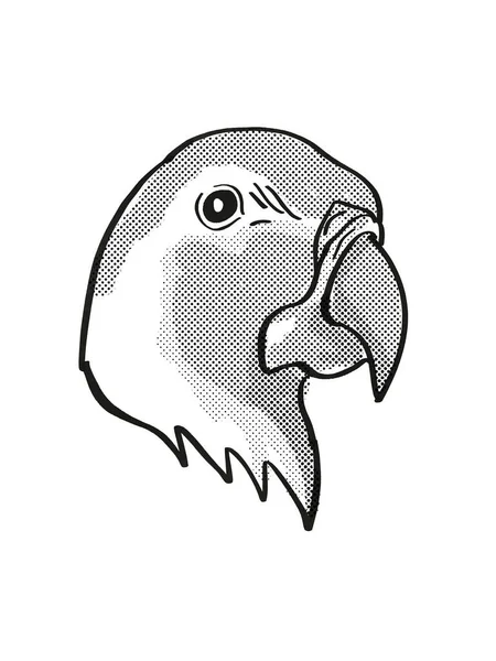 Blue Throated Macaw Wagler Macaw Endangered Wildlife Cartoon Mono Line — Stock Photo, Image