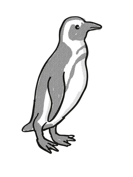 Afrikanischer Pinguin Oder Spheniscus Demersus Bedrohte Tierwelt Cartoon Mono Line — Stockfoto