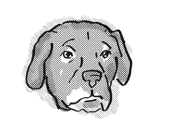 Afador Afghan Lab Dog Breed Cartoon Retro Drawing — Stock Photo, Image