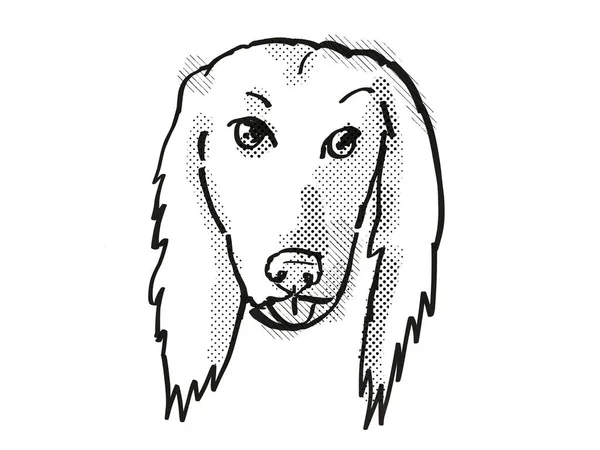 Afghan Hound Perro Raza Dibujos Animados Retro Dibujo — Foto de Stock