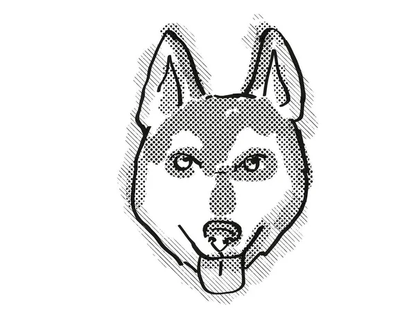 Alaskan Klee Kai Σκύλος Φυλή Γελοιογραφία Retro Σχέδιο — Φωτογραφία Αρχείου