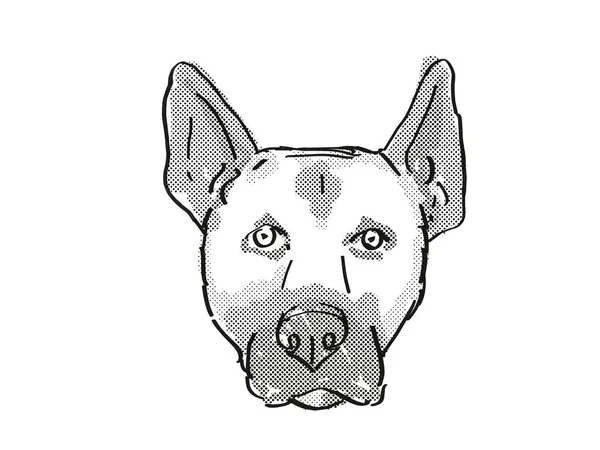Belga Malinois Dog Raça Desenho Retro Cartoon — Fotografia de Stock